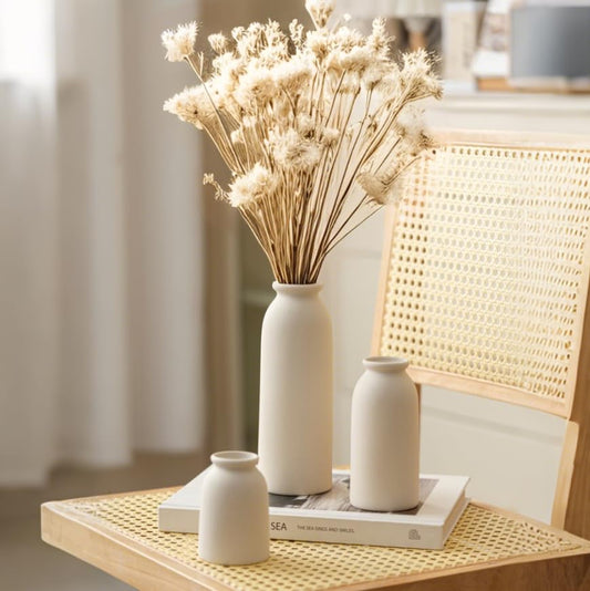 Ceramic Vase Set-3, Small Flower Vases for Decor