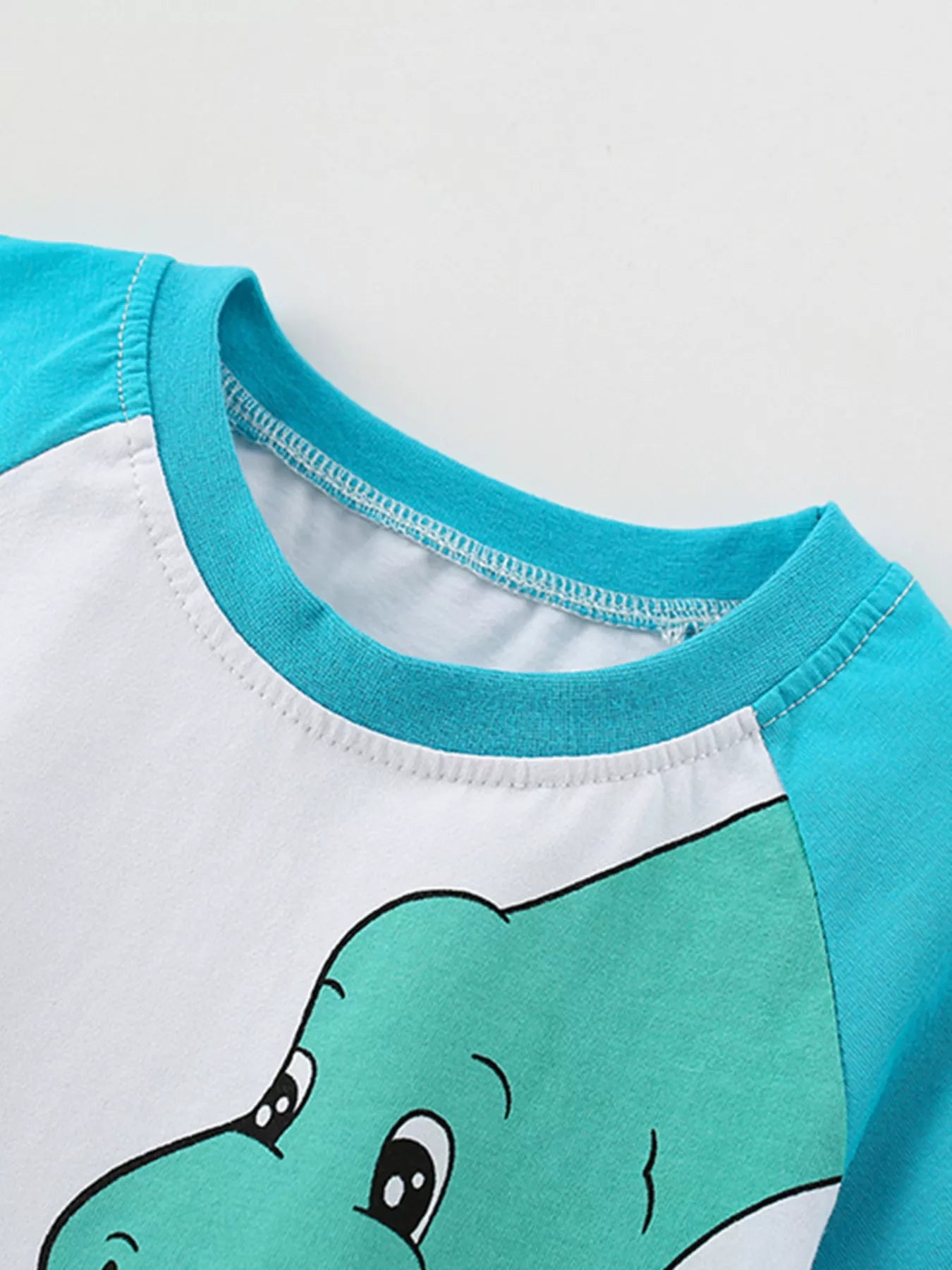 Children's Dinosaur Raglan Sleeve T-Shirt
