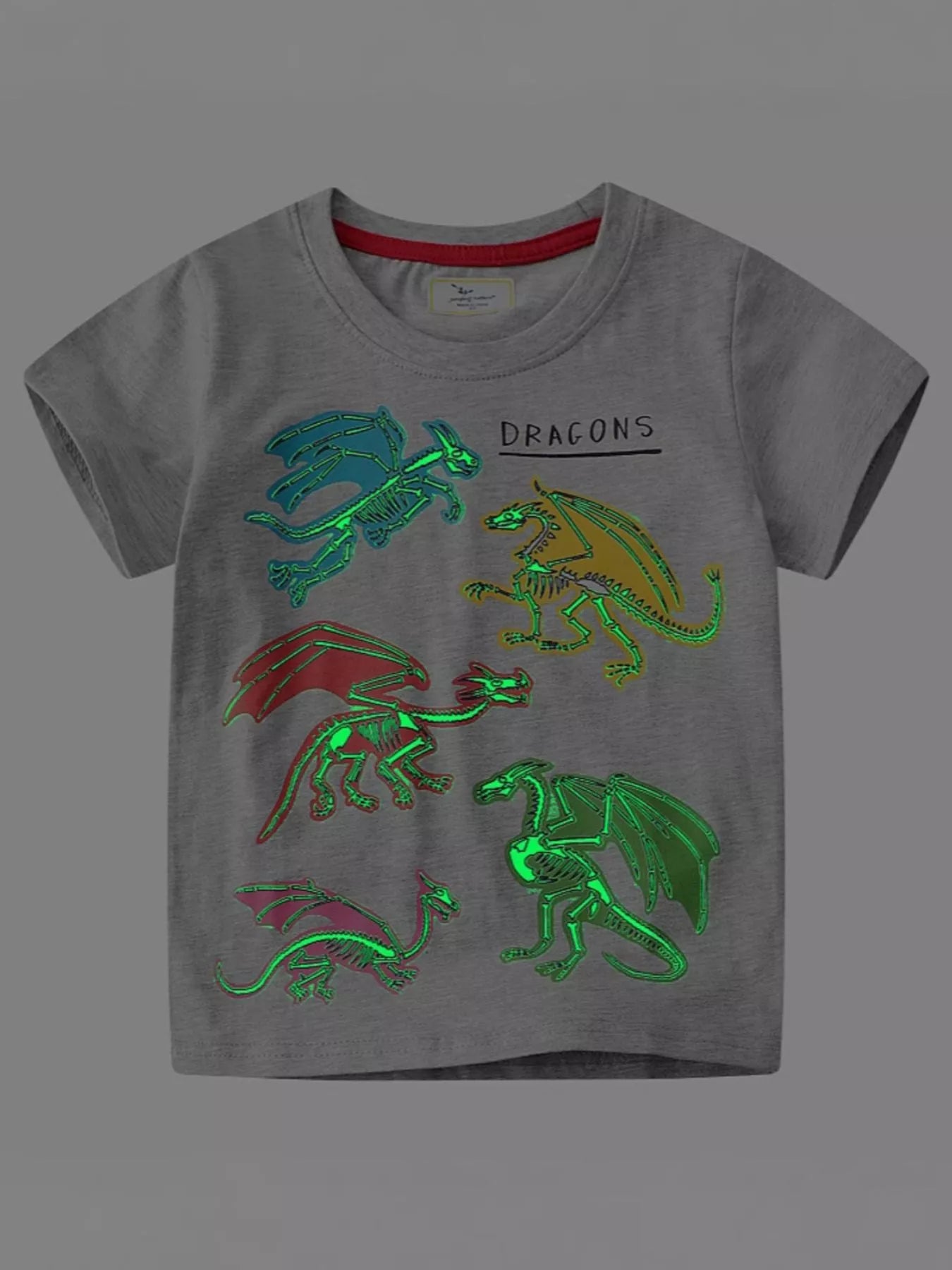 Children's Dinosaur Crew Neck Short Sleeve T-Shirt