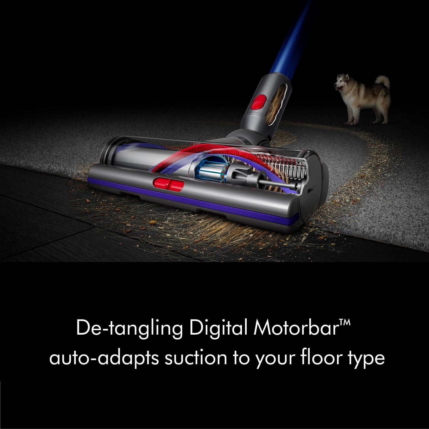 Dyson V11 Torque Drive+ Cordless Vacuum