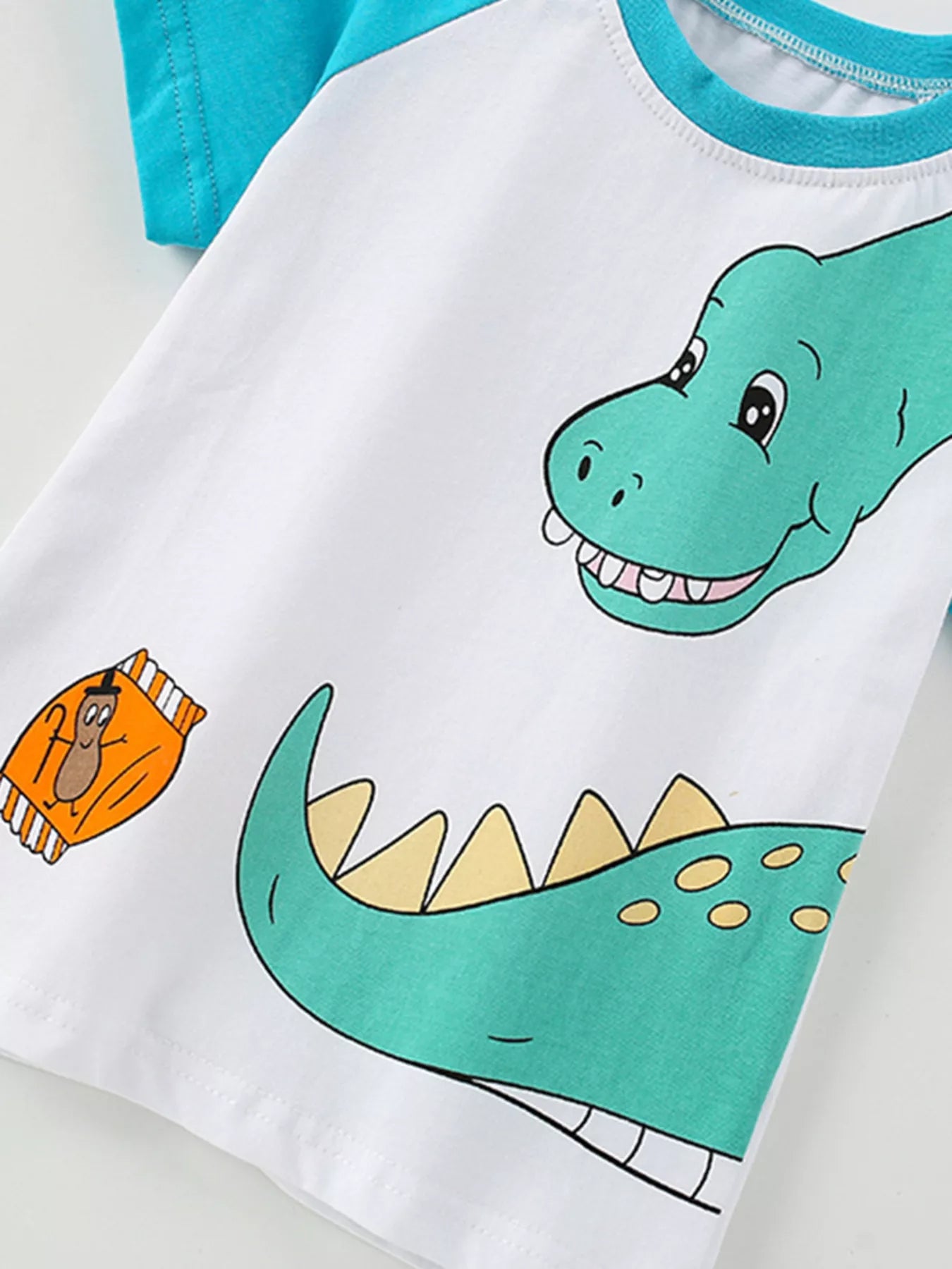 Children's Dinosaur Raglan Sleeve T-Shirt