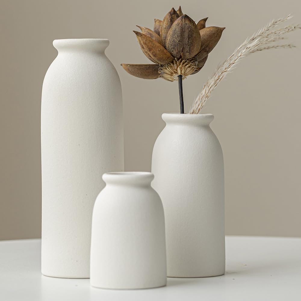 Ceramic Vase Set-3, Small Flower Vases for Decor