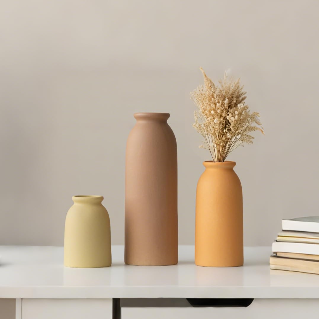 Ceramic Vase Set-3, Small Flower Vases for Decor