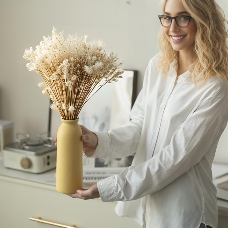 Ceramic Vase Set-3, Small Flower Vases for Decor
