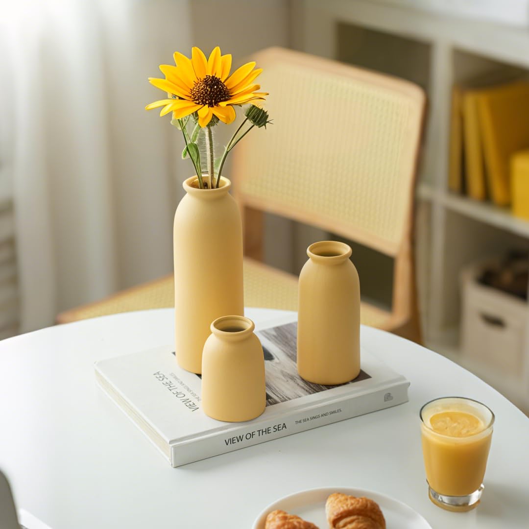 Ceramic Vase Set-3, Small Flower Vases for Decor