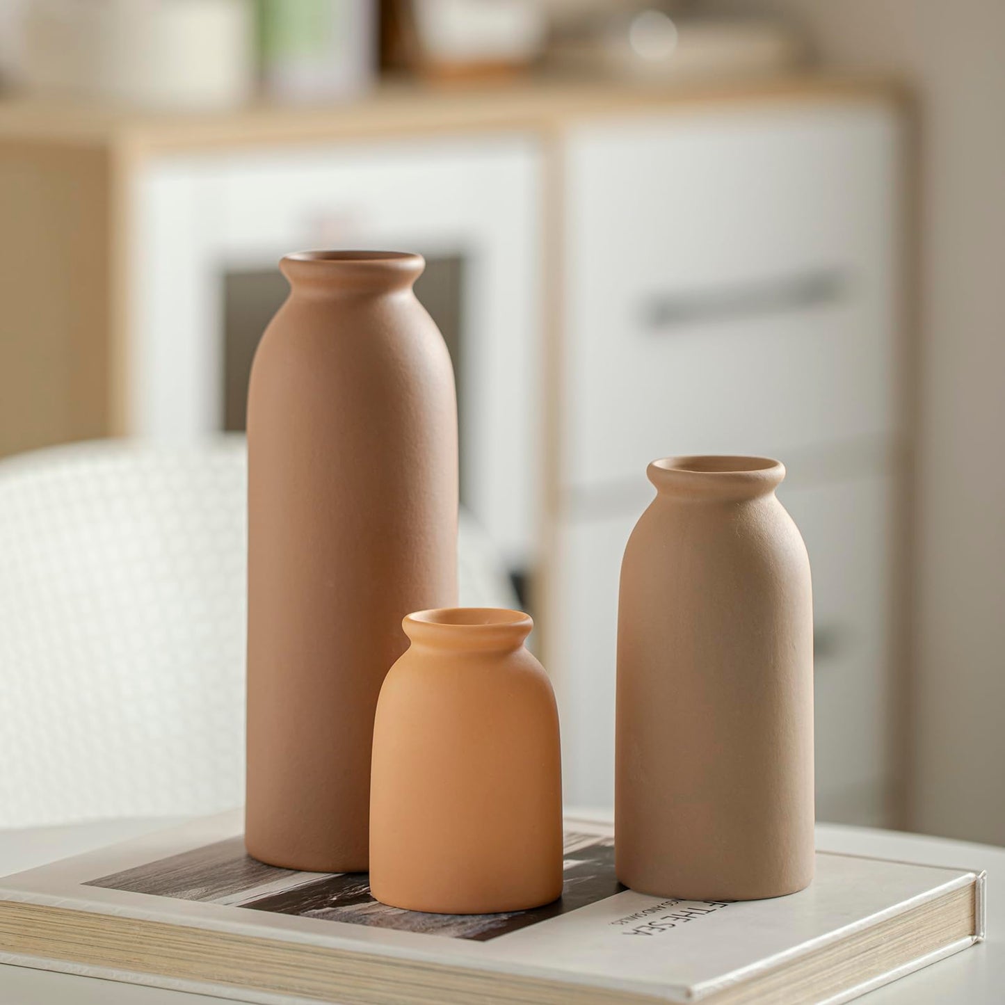 Ceramic Vase Set-3, Small Flower Vases for Decor