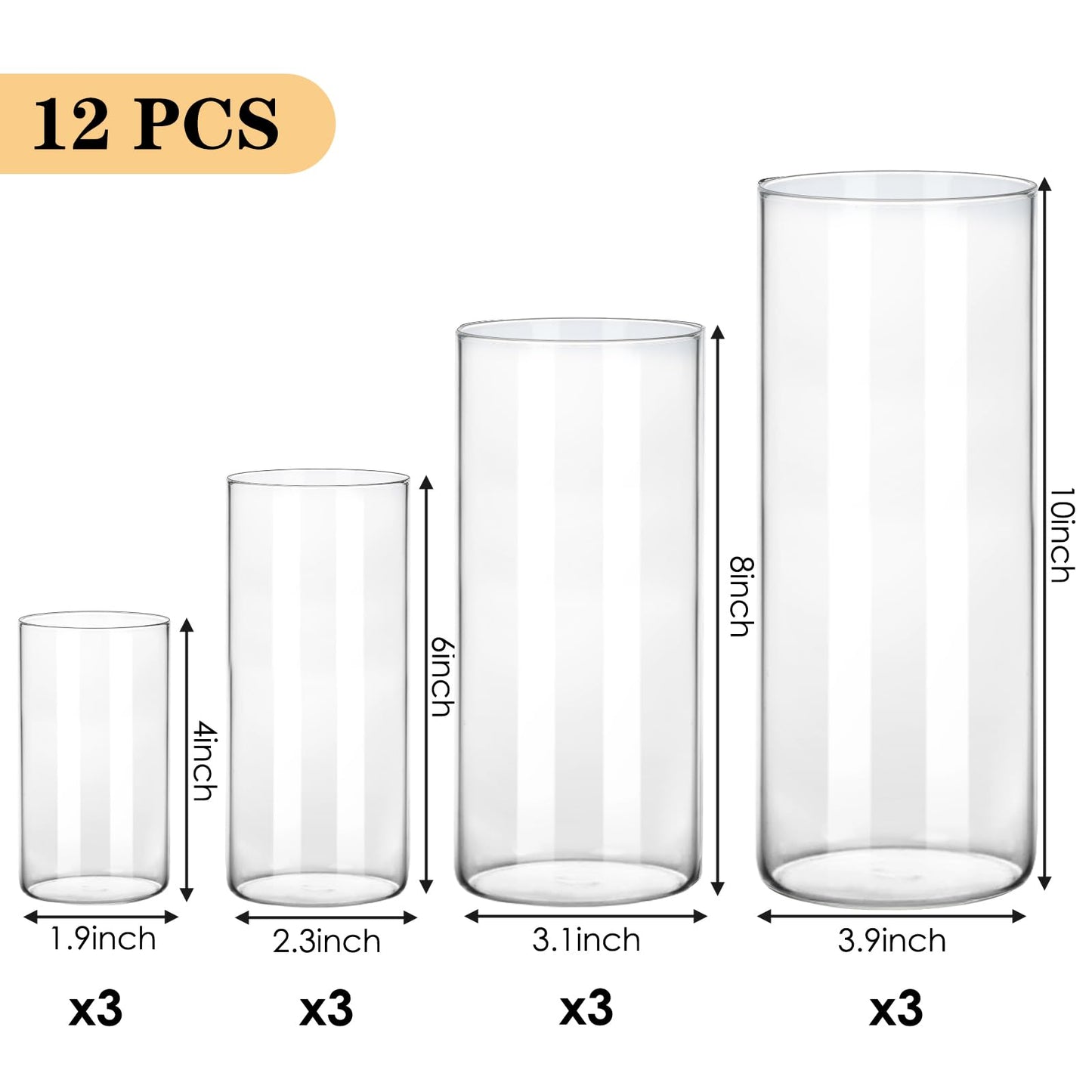 Set of 12 clear glass cylindrical vases with measurements on a white background