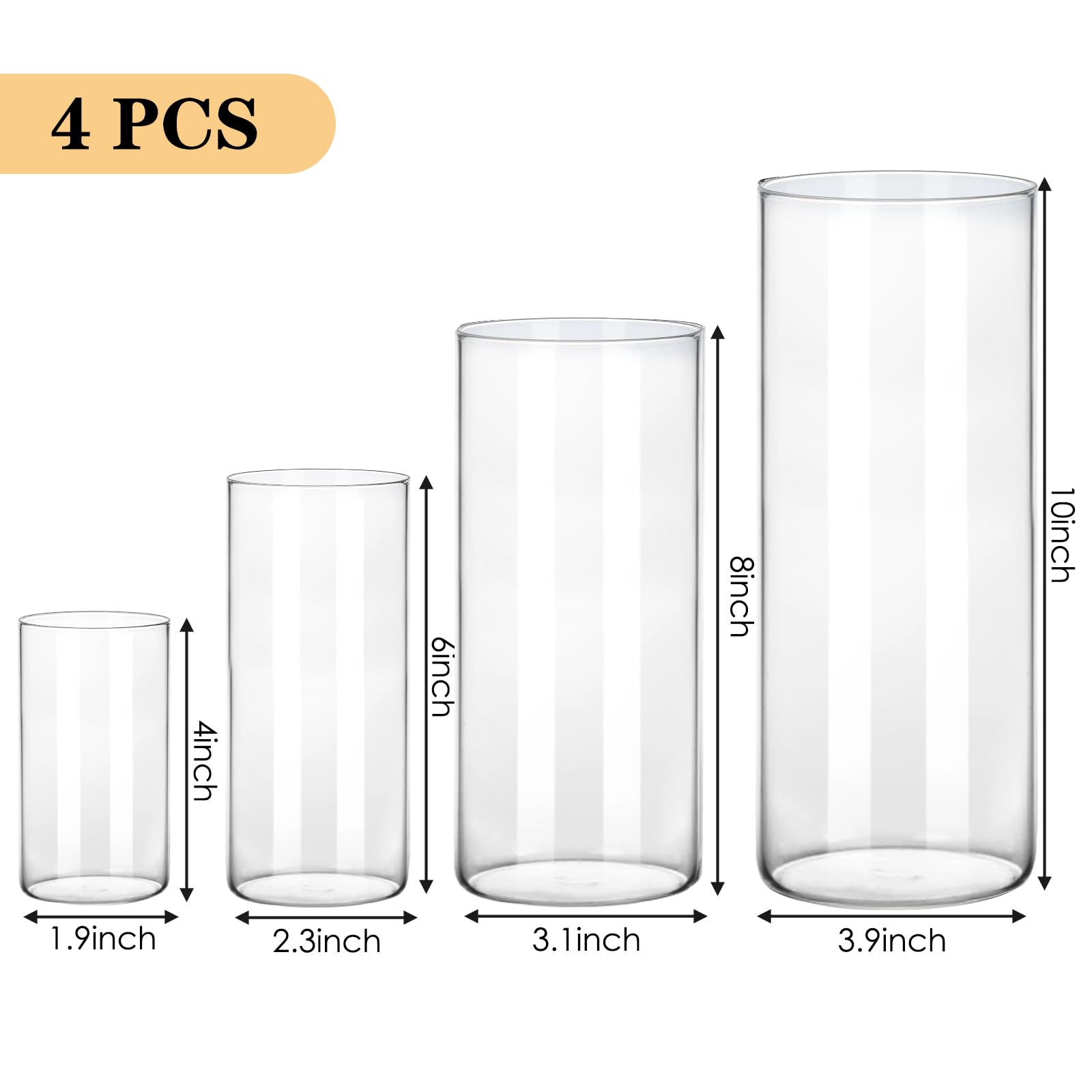Set of four clear glass vases with measurements on a white background