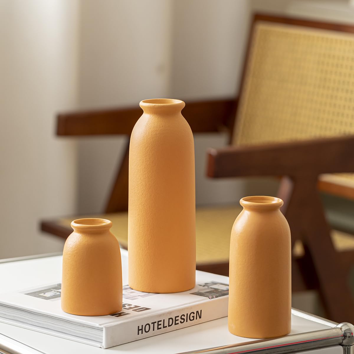 Ceramic Vase Set-3, Small Flower Vases for Decor