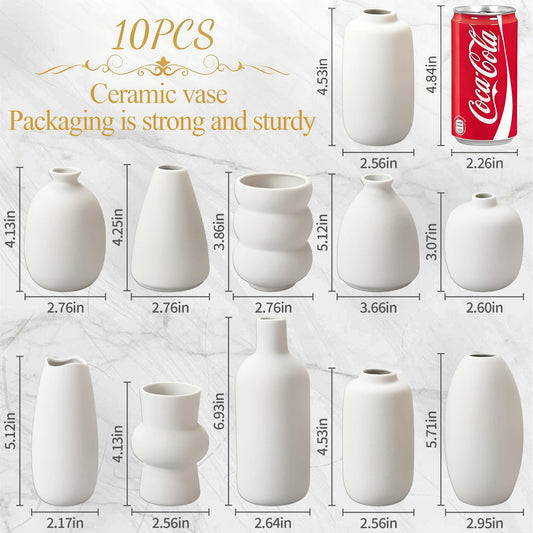Set of 10 white ceramic vases with dimensions and a Coca-Cola can for scale on a light gray background.
