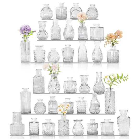 Collection of various clear glass vases on shelves with small plants.
