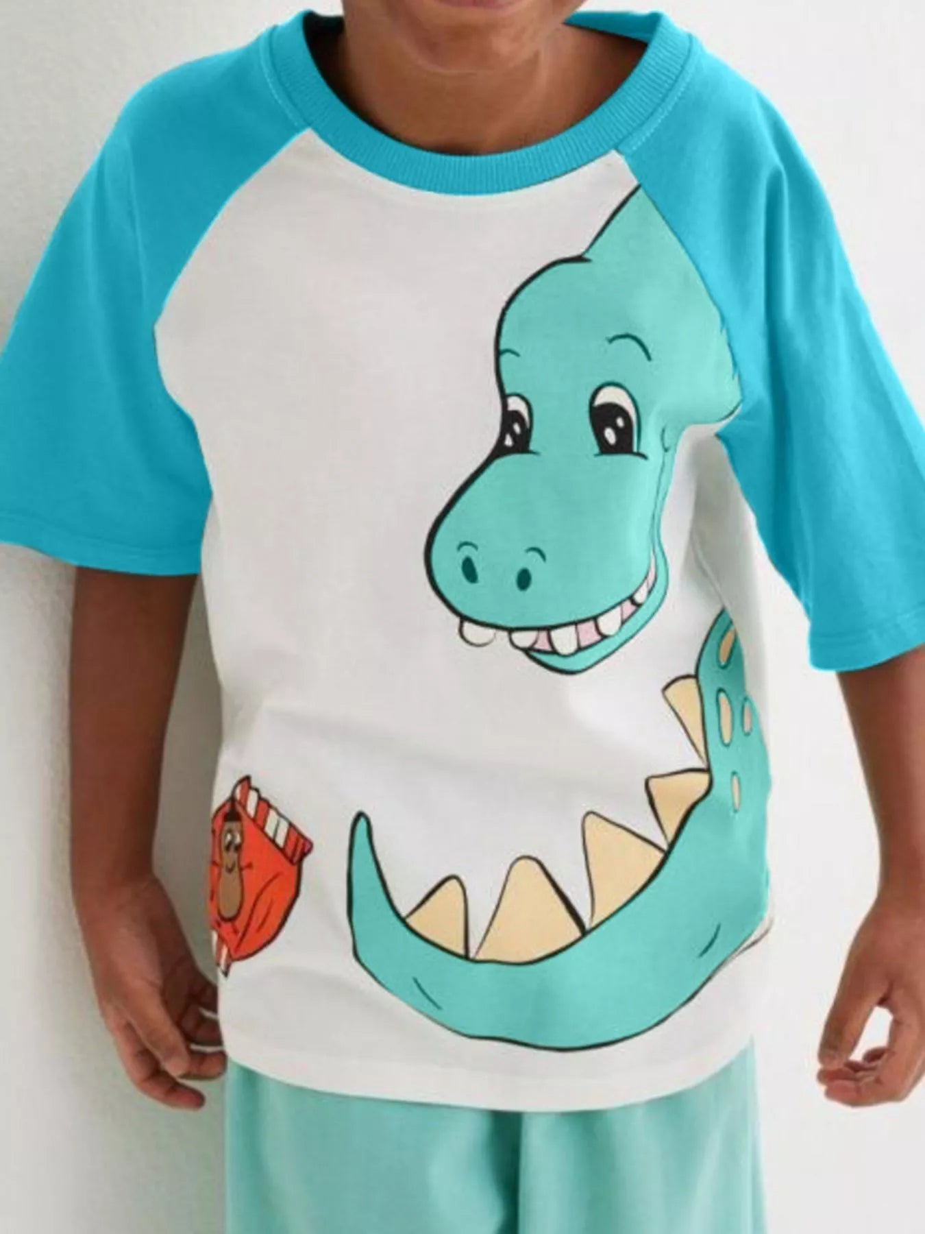 Children's Dinosaur Raglan Sleeve T-Shirt